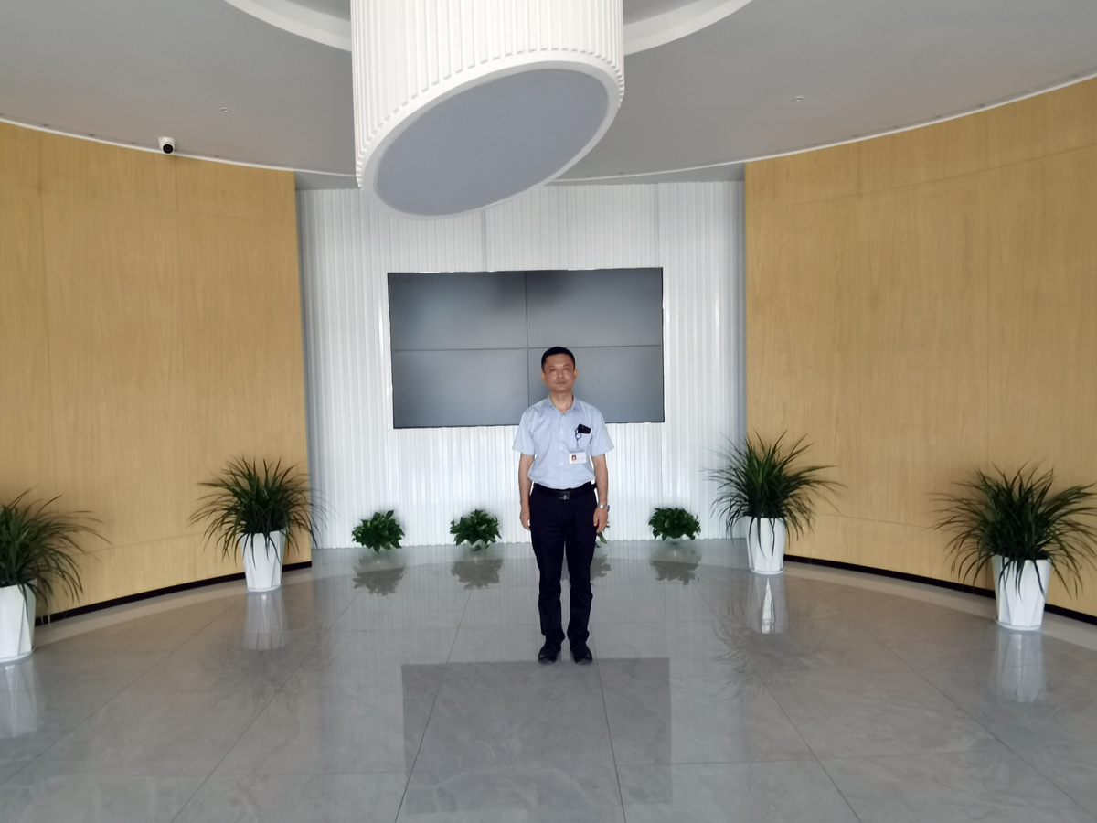 正版资料全年资料大全