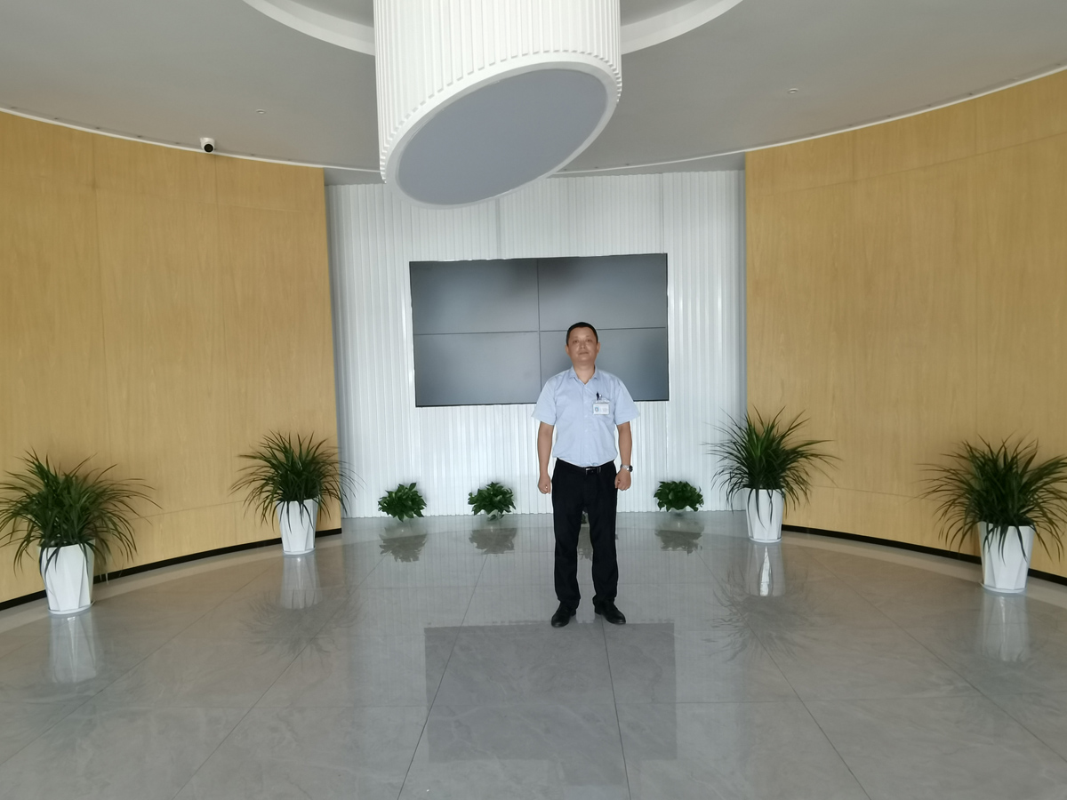 正版资料全年资料大全